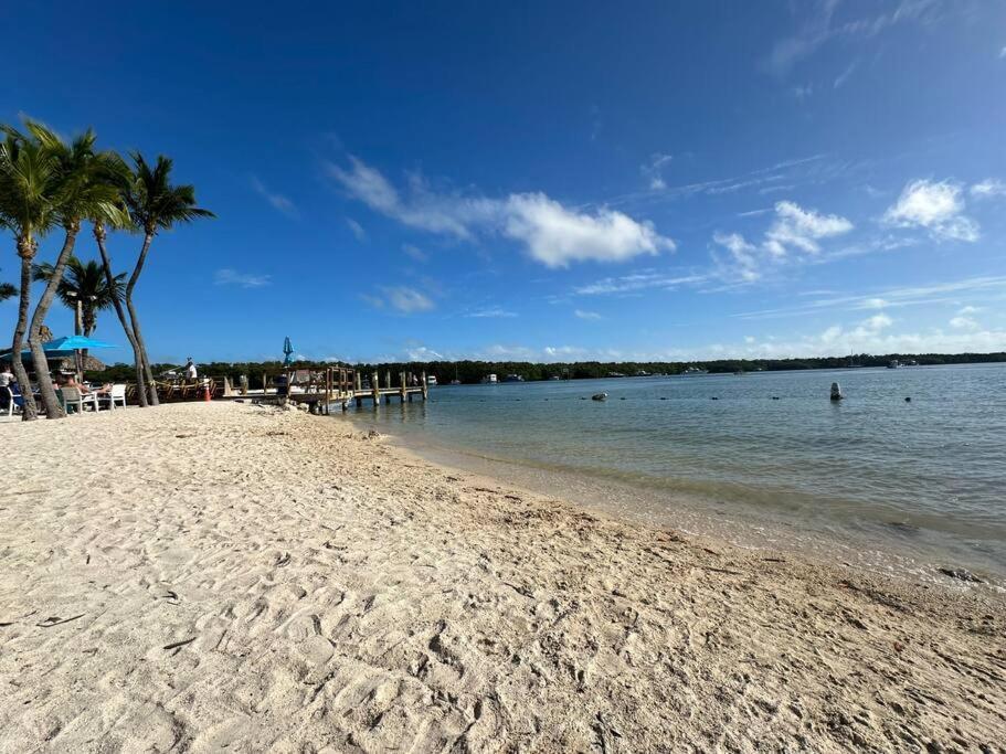 Vacay Spot Experience Luna Sky! 65" Tv Bar, Bbq, Shower Massage Jets, Music, Go To Fl Keys 霍姆斯戴德 外观 照片